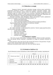 Verslo planas: šildymo paslaugų UAB "Šilta svajonė" 9 puslapis