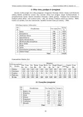Verslo planas: šildymo paslaugų UAB "Šilta svajonė" 10 puslapis