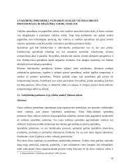 Vilniaus miesto profesionalių ir mėgėjiškų chorų vadybos sprendimų lyginamoji analizė 18 puslapis