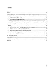 Vilniaus miesto profesionalių ir mėgėjiškų chorų vadybos sprendimų lyginamoji analizė 3 puslapis