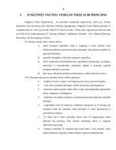 Jungtinės tautos – tarptautinės teisės subjektas 3 puslapis