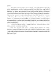 Kainos pagrindimas 3 puslapis