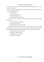 Kainos pagrindimas 4 puslapis