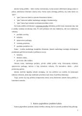 Kainos pagrindimas 5 puslapis