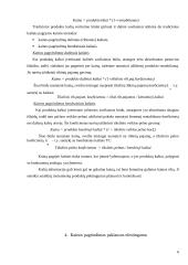 Kainos pagrindimas 6 puslapis