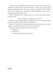 Kainos pagrindimas 7 puslapis