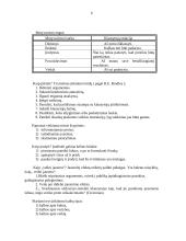 Kalbų rūšys 5 puslapis