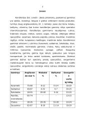 Karamelė ir jos gamyba 3 puslapis