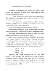 Karamelė ir jos gamyba 7 puslapis