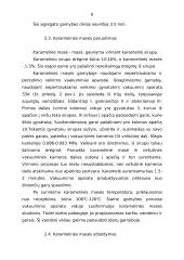 Karamelė ir jos gamyba 8 puslapis