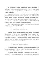 Karamelė ir jos gamyba 9 puslapis