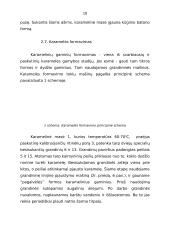 Karamelė ir jos gamyba 10 puslapis
