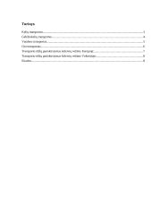 Keleivių vežimo rinkų pasiskirstymas tarp įvairių transporto rūšių 2 puslapis