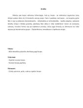 Dauniškio pušynėlio užterštumas pagal kerpes 2 puslapis