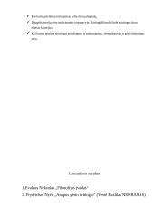 Ar yra vienas gėrio kriterijaus suvokimas? 6 puslapis