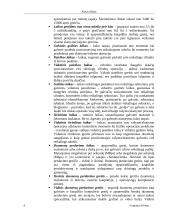 Kietasis diskas 9 puslapis