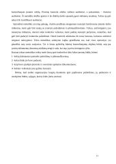 Kokybės sistemų auditas 11 puslapis