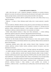 Kokybės sistemų auditas 3 puslapis