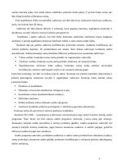 Kokybės sistemų auditas 6 puslapis