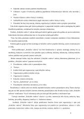 Kokybės sistemų auditas 8 puslapis