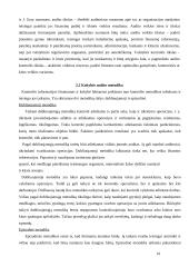 Kokybės sistemų auditas 10 puslapis