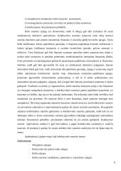 Kolektyvinė sutartis 8 puslapis