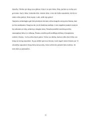 T.H. Eriksen: "Akimirkos tironija" 12 puslapis