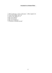 T.H. Eriksen: "Akimirkos tironija" 13 puslapis