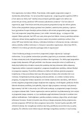 Informacinių technologijų įtaka nusikaltimams 11 puslapis