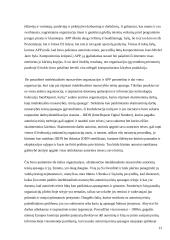 Informacinių technologijų įtaka nusikaltimams 12 puslapis