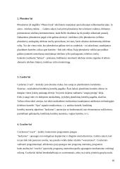 Informacinių technologijų įtaka nusikaltimams 17 puslapis