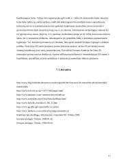 Informacinių technologijų įtaka nusikaltimams 20 puslapis