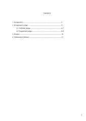 Kompiuterio įranga 2 puslapis