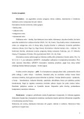 Kompiuterio įranga 5 puslapis