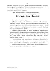 Šiuolaikinio kompiuterio techninė įranga 11 puslapis