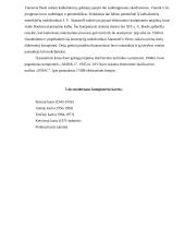 Kompiuteris ir kompiuterio istorija 2 puslapis