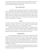 Kompiuteris ir kompiuterio istorija 4 puslapis