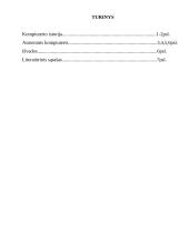 Kompiuteris ir kompiuterio istorija 8 puslapis