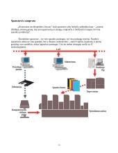Kompiuteris leidyboje 2 puslapis