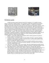 Kompiuteris leidyboje 3 puslapis