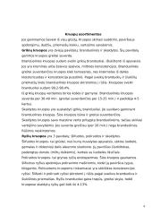 Kruopos ir jų laikymas 4 puslapis
