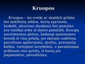 Kruopų savybės 2 puslapis