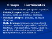 Kruopų savybės 3 puslapis