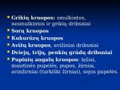 Kruopų savybės 4 puslapis