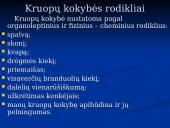 Kruopų savybės 6 puslapis