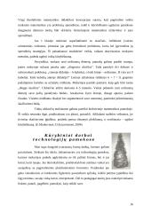 Kūrybiškumo ugdymas mokykloje 16 puslapis