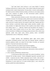 Kūrybiškumo ugdymas mokykloje 17 puslapis