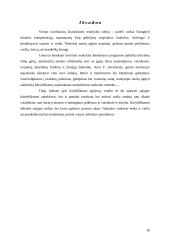 Kūrybiškumo ugdymas mokykloje 18 puslapis