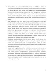 Kūrybiškumo ugdymas mokykloje 9 puslapis