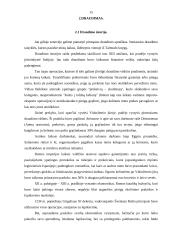 Lietuvos bankai ir bankų draudimo sistemos 13 puslapis